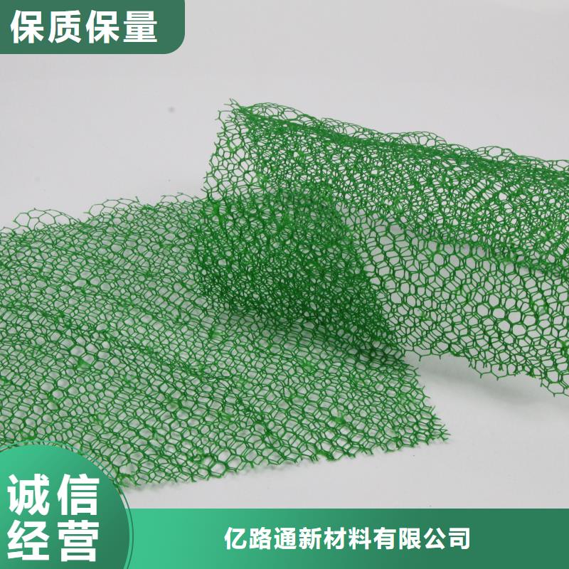 三维植被网土工席垫自营品质有保障
