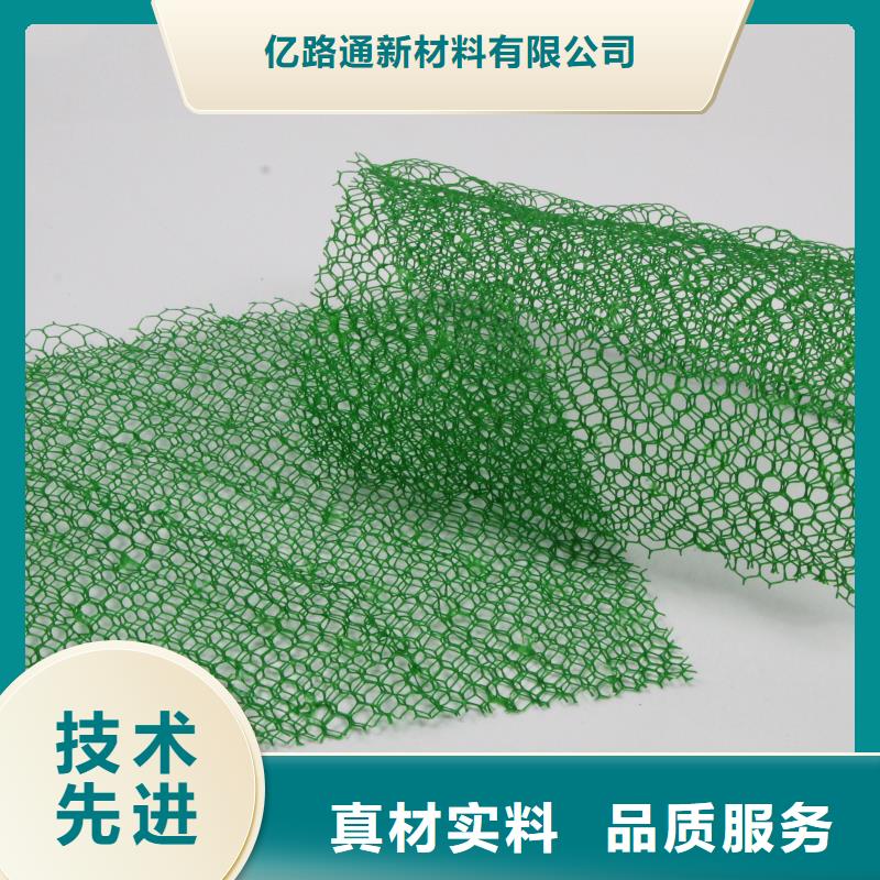 三维植被网三维植被网厂家价格透明