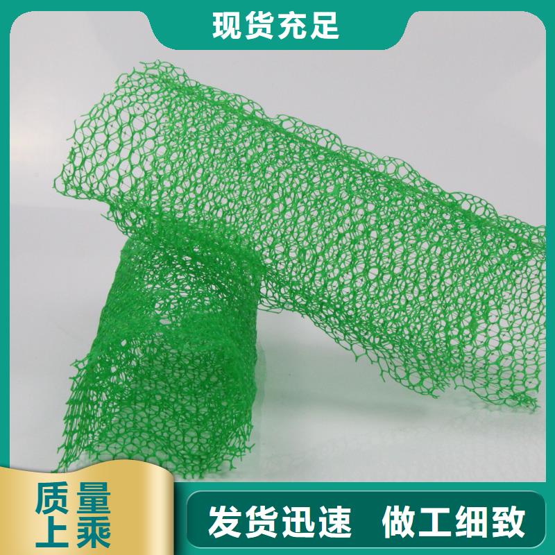 三维植被网HDPE土工膜厂家案例