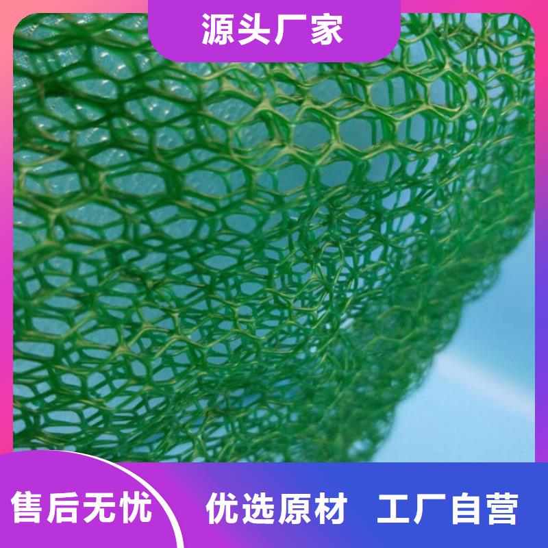 三维植被网三维植被网厂家价格透明