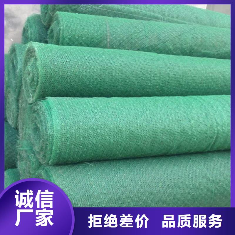 三维植被网HDPE土工膜厂家案例