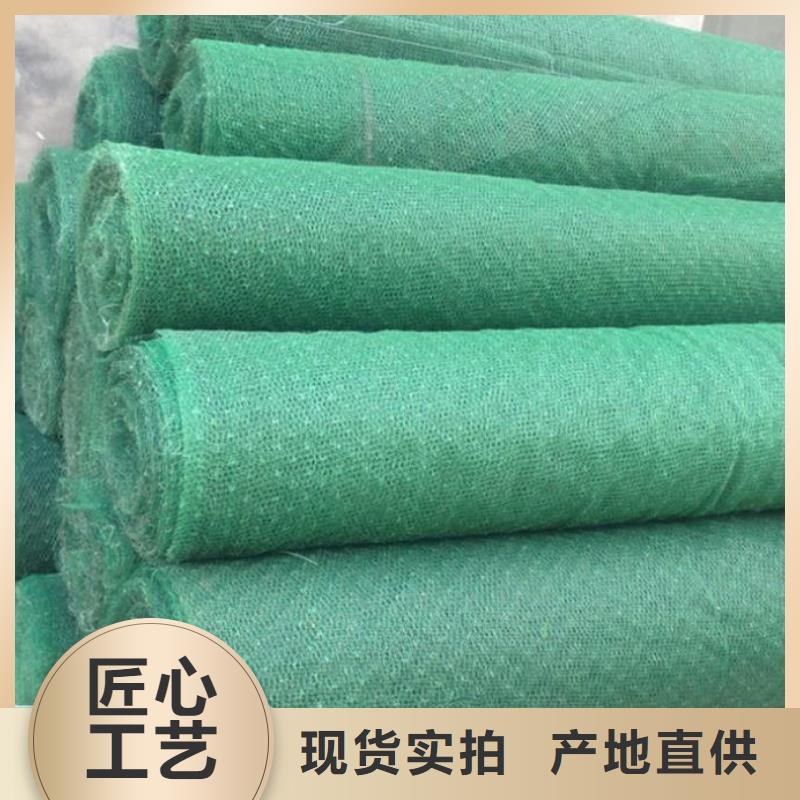 三维植被网,土工格室N年生产经验