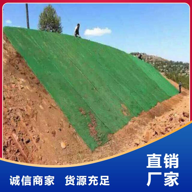 玻璃纤维土工格栅视频-玻璃纤维土工格栅|台州市|三门|天台|杭州|湖州|丽水|舟山
