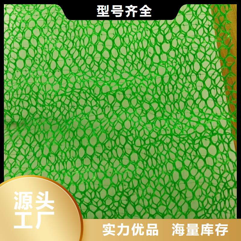 三维植被网HDPE土工膜厂家案例