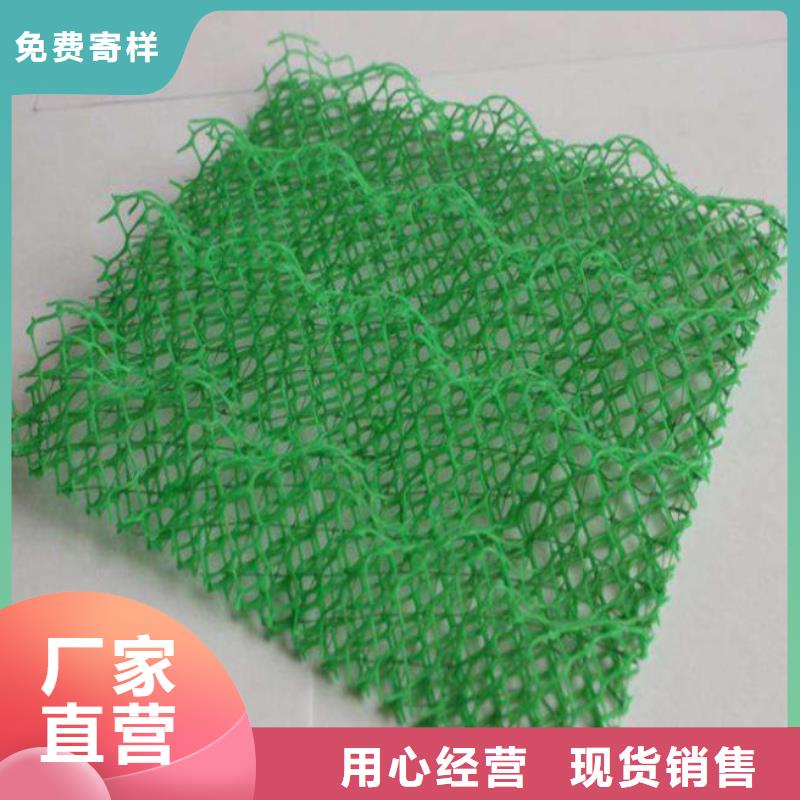 三维植被网HDPE土工膜厂家案例