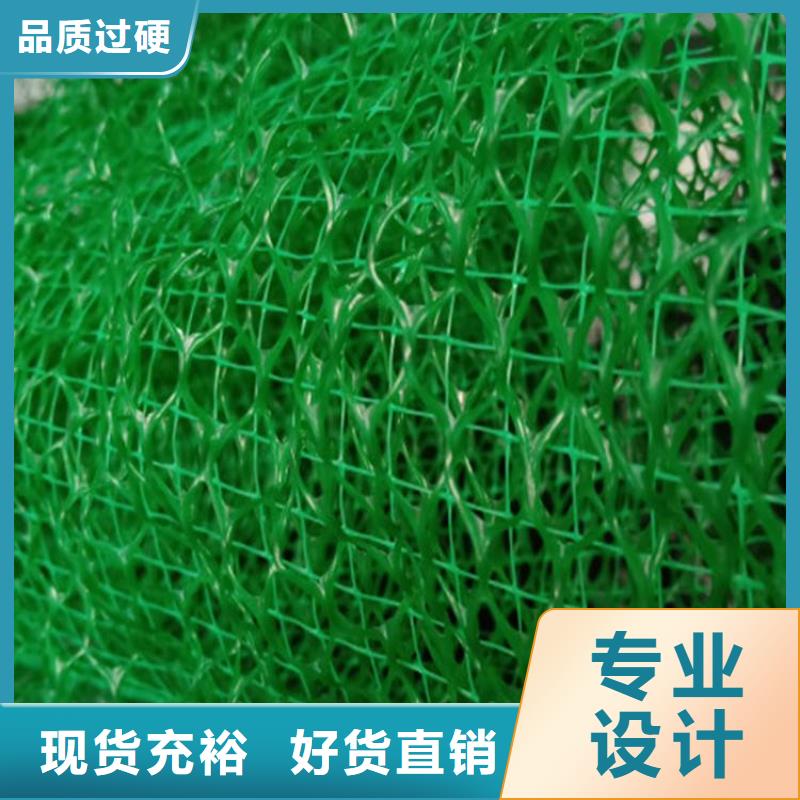 三维植被网,土工格室N年生产经验