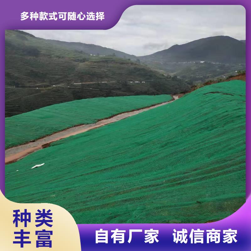 三维植被网,土工格室N年生产经验