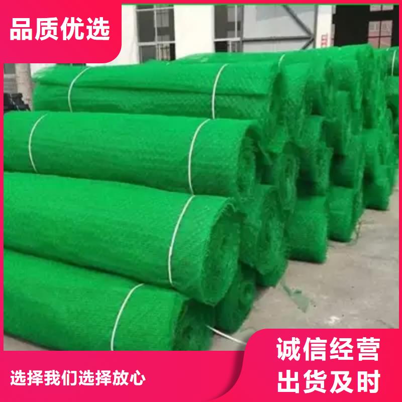 三维植被网三维植被网厂家价格透明