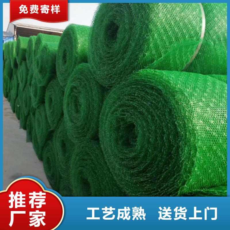 边坡防护三维植被网——集团公司-2025新行情
