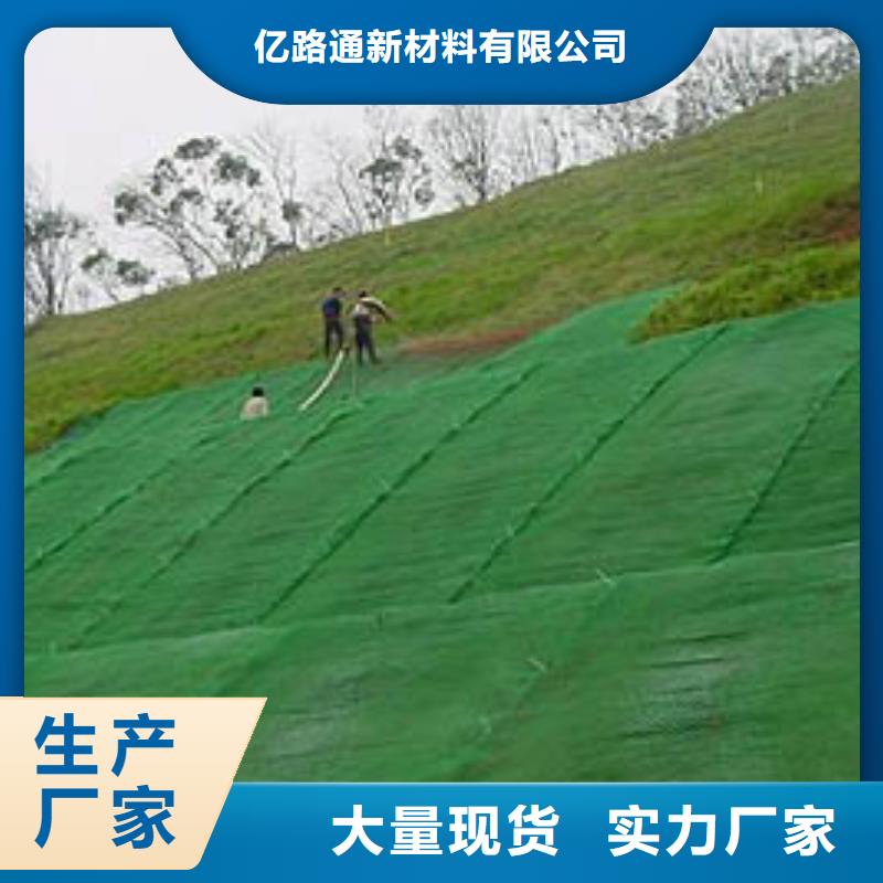 三维植被网,土工格室N年生产经验