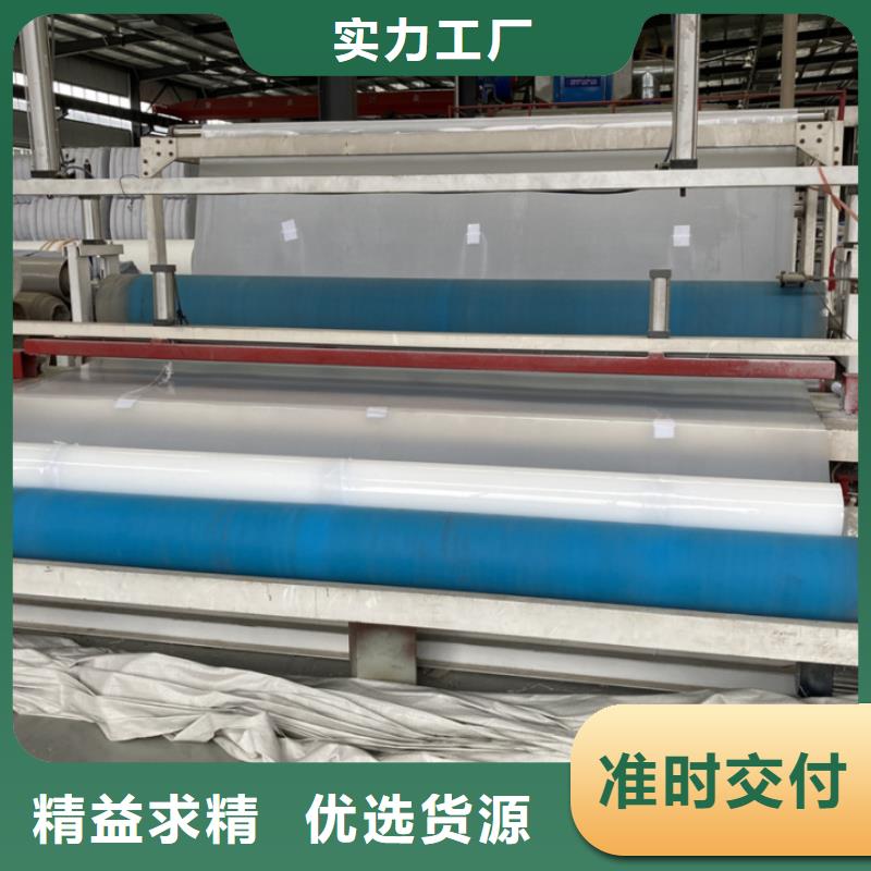 EVA防水板玻璃纤维土工格栅一站式采购商