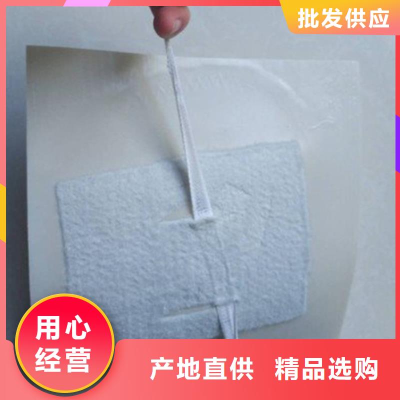 EVA防水板玻璃纤维土工格栅一站式采购商
