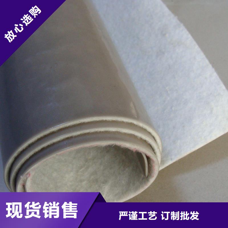 EVA防水板涤纶土工格栅用心做好每一件产品