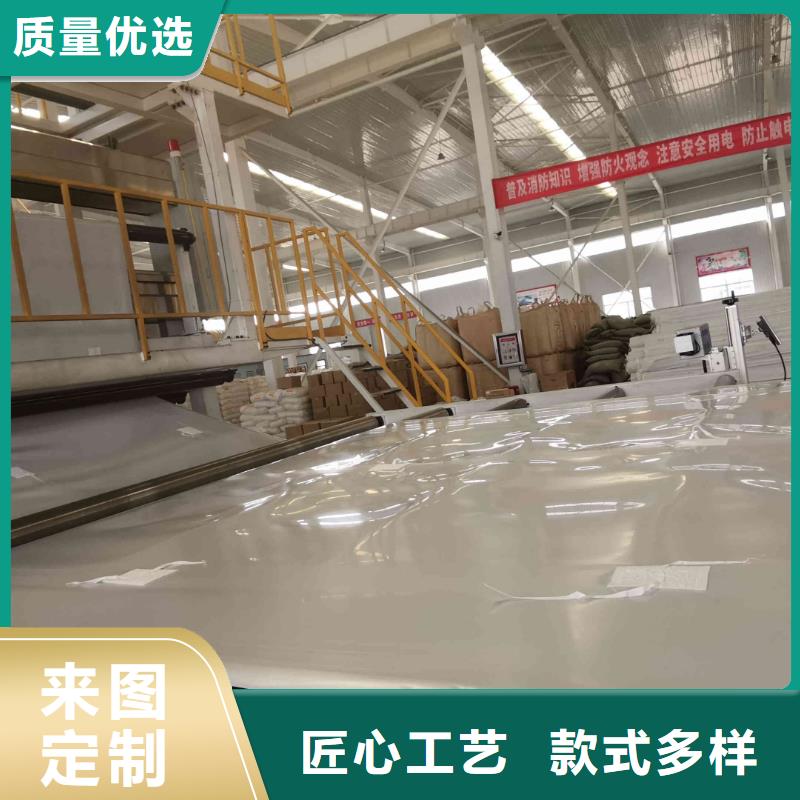 EVA防水板钢塑土工格栅定制销售售后为一体