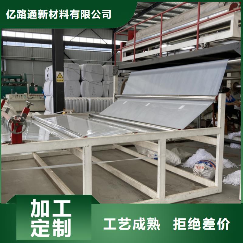 EVA防水板钢塑土工格栅定制销售售后为一体