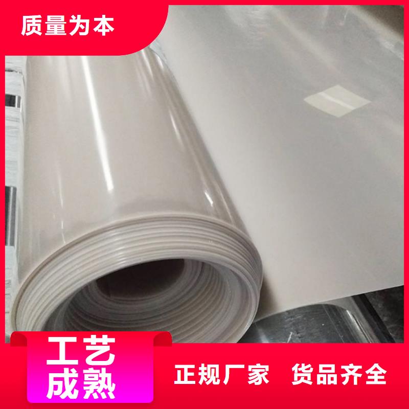 EVA防水板_涤纶土工格栅来图定制