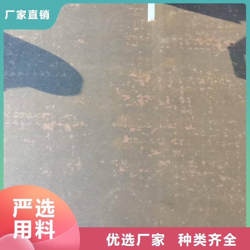 支持定制的16MN中厚板经销商
