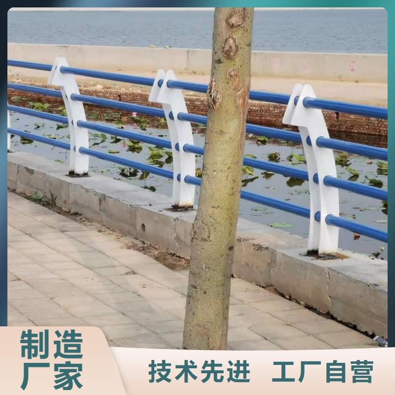 桥梁护栏,市政道路防护栏工厂采购