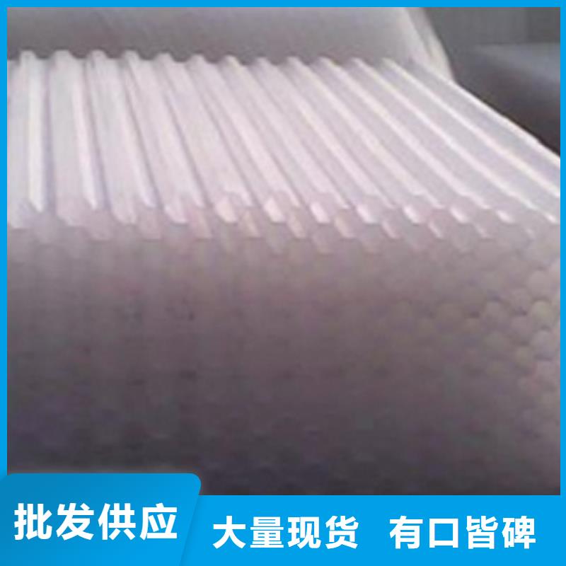 斜管填料-活性炭厂家货源稳定