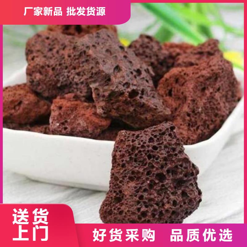 反硝化池用火山岩陶粒价格
