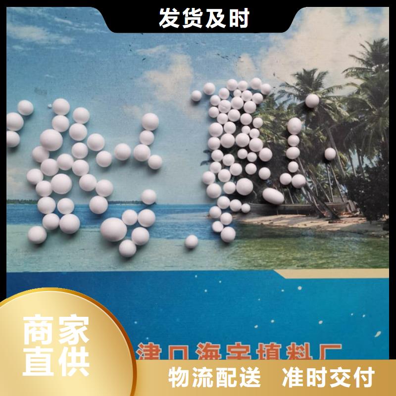 泡沫滤料生物陶粒滤料畅销当地
