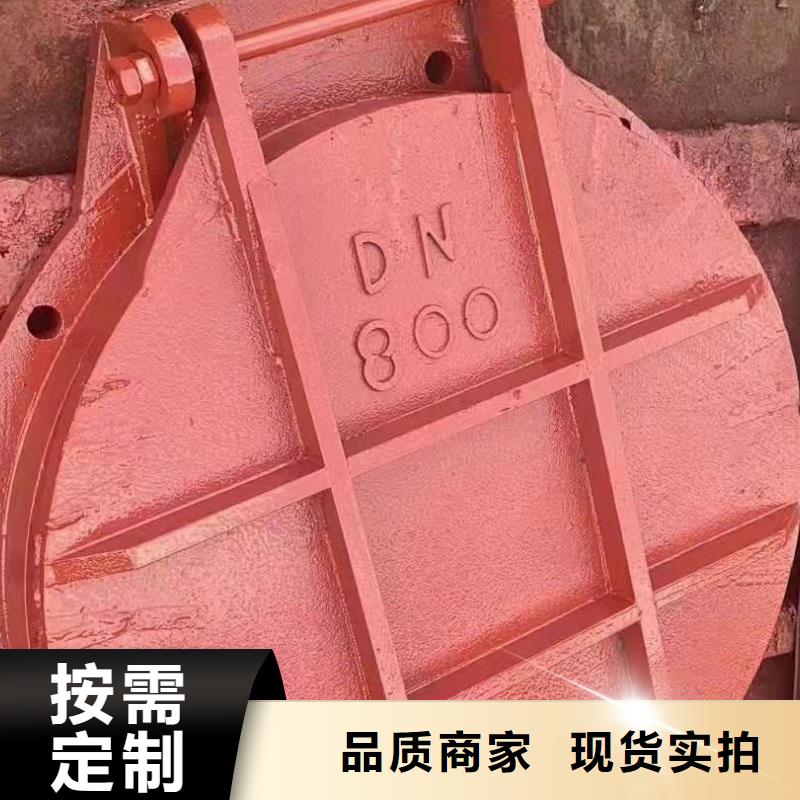 铸铁闸门钢制闸门品牌大厂家