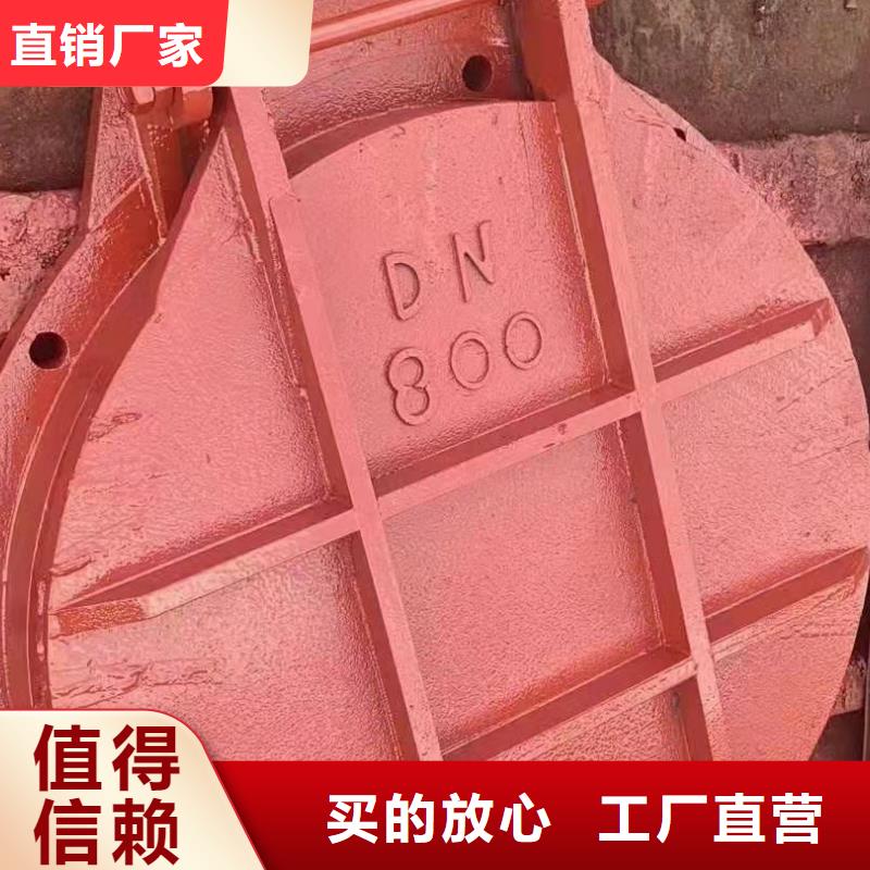 铸铁闸门自营品质有保障