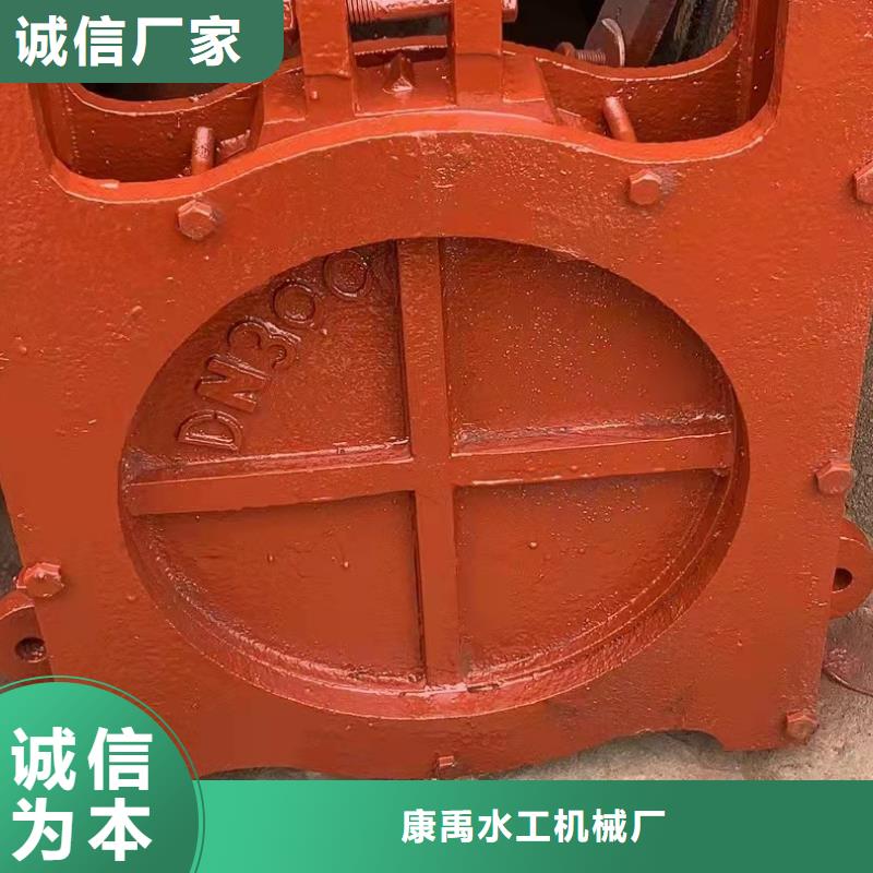  铸铁闸门实力见证