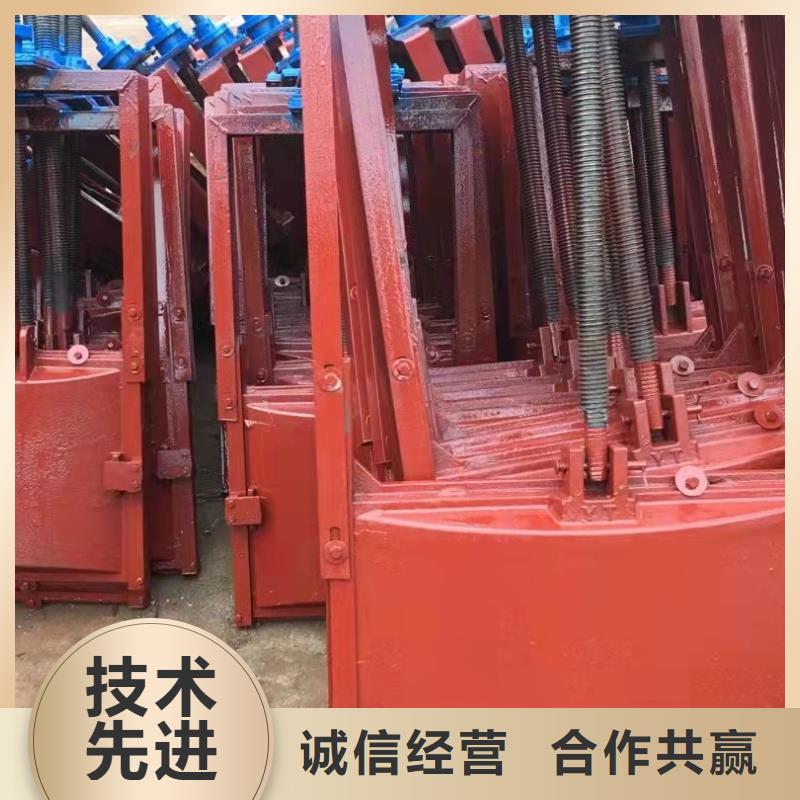 铸铁闸门,河道清污机随到随提