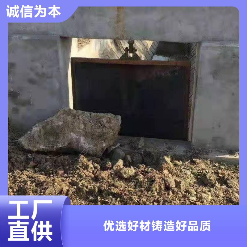 铸铁闸门实力优品