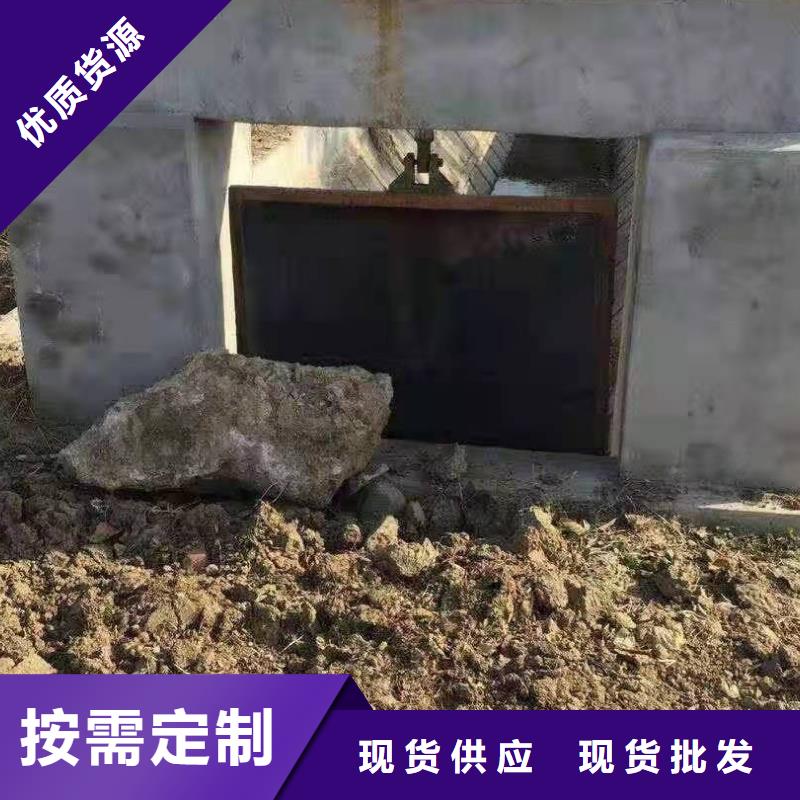 铸铁闸门质优价保