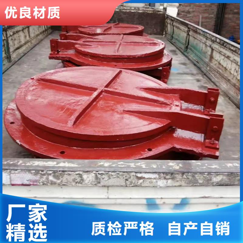 铸铁闸门,河道清污机随到随提