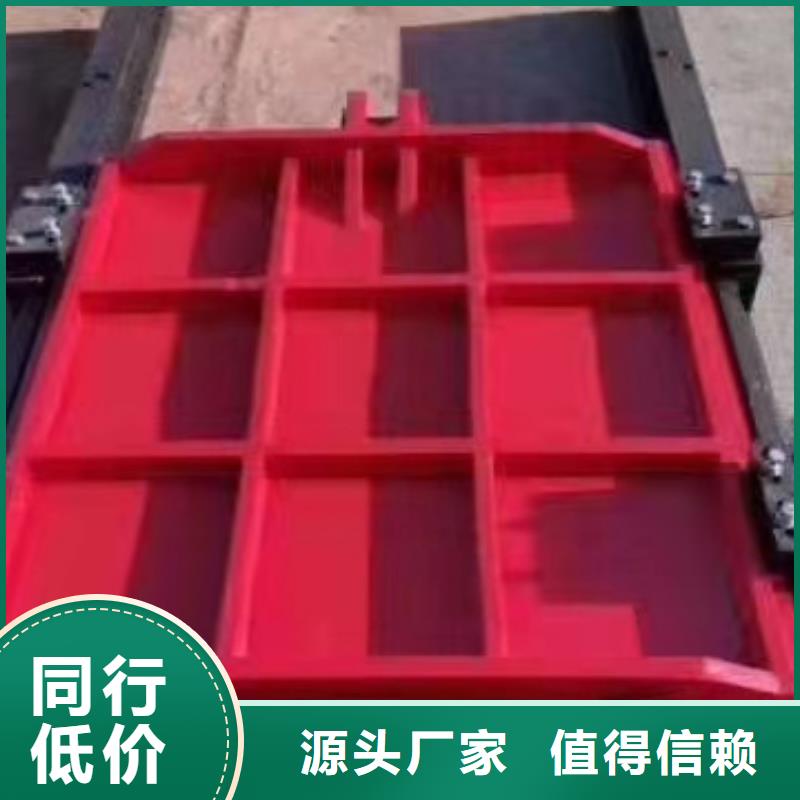 铸铁闸门物美价优