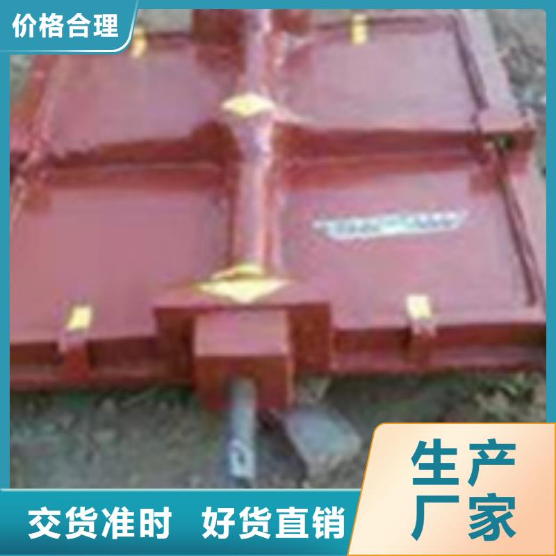 铸铁闸门专业品质
