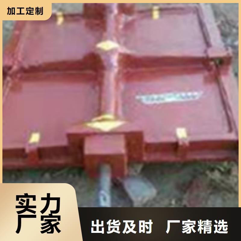 铸铁闸门多年行业经验
