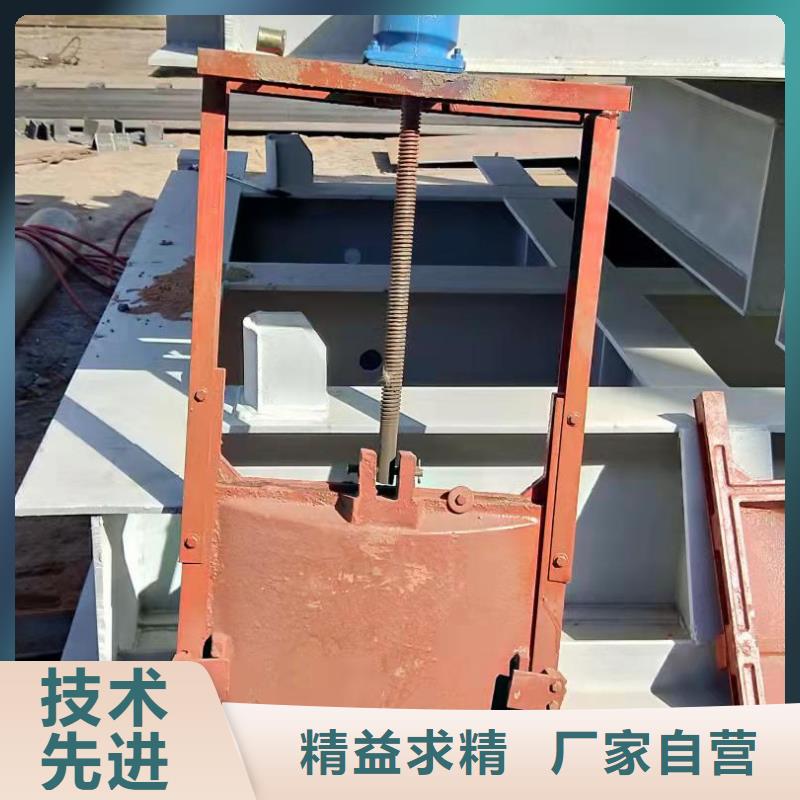 拍门厂家视频-拍门厂家-广东省汕尾市海丰|陆丰|汕头|东莞|茂名|广州|梅州|河源|惠州(此地)公司