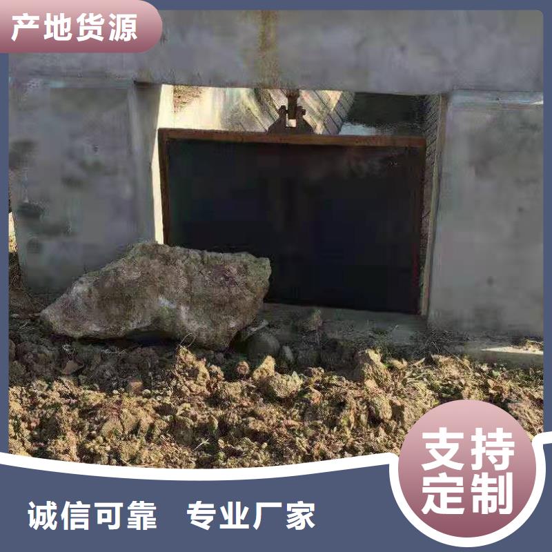 【铸铁闸门】铸铁闸门厂家定制批发本地生产商