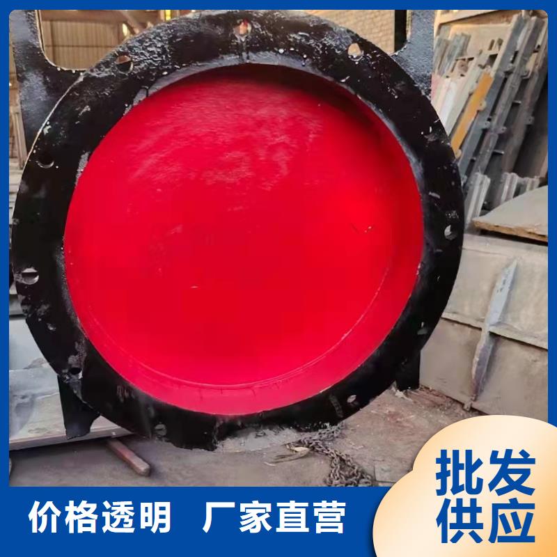 铸铁闸门_启闭机闸门厂家工厂直销