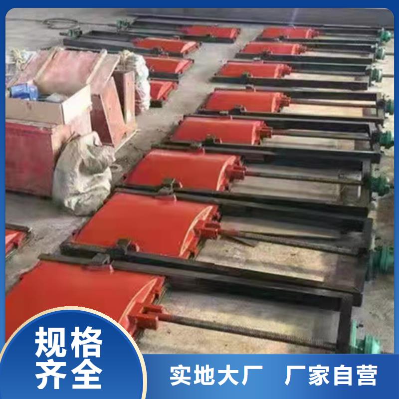  铸铁闸门实力优品
