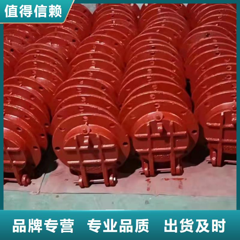 铸铁闸门批发价格