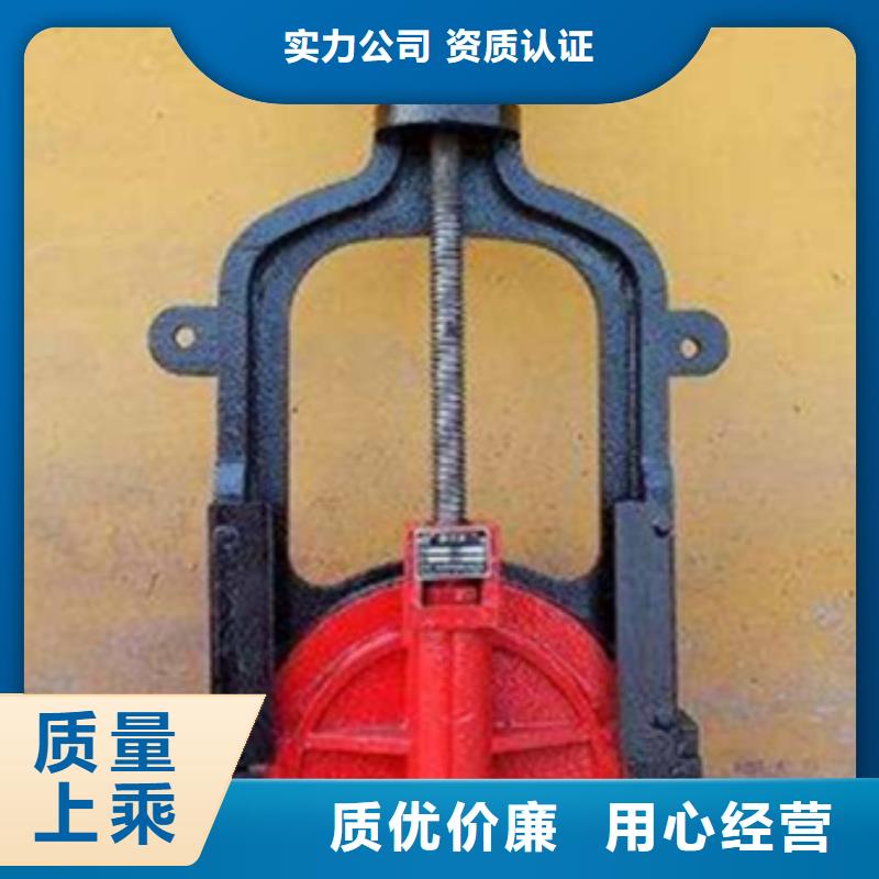 铸铁闸门有实力有经验