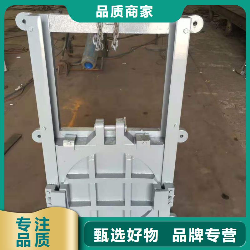 铸铁闸门_启闭机闸门厂家量大从优