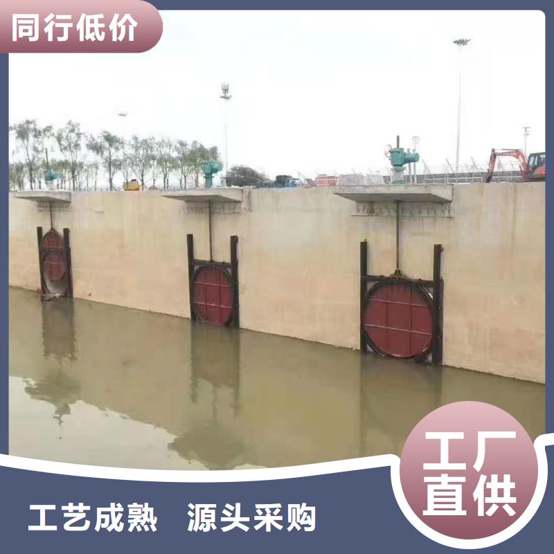 铸铁闸门经验丰富质量放心