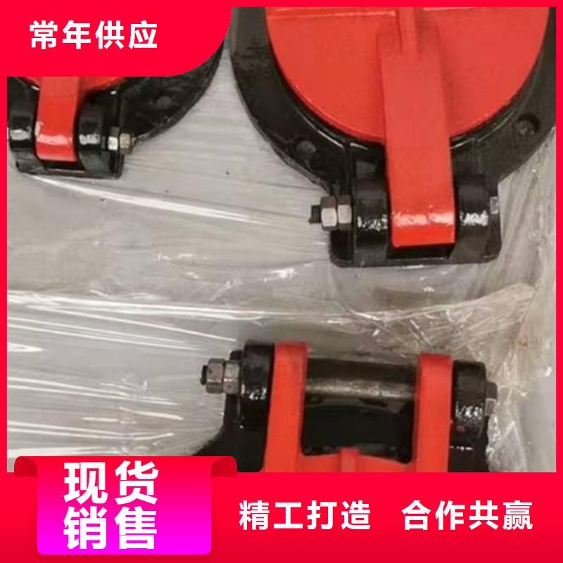 铸铁闸门_螺杆启闭机品质不将就