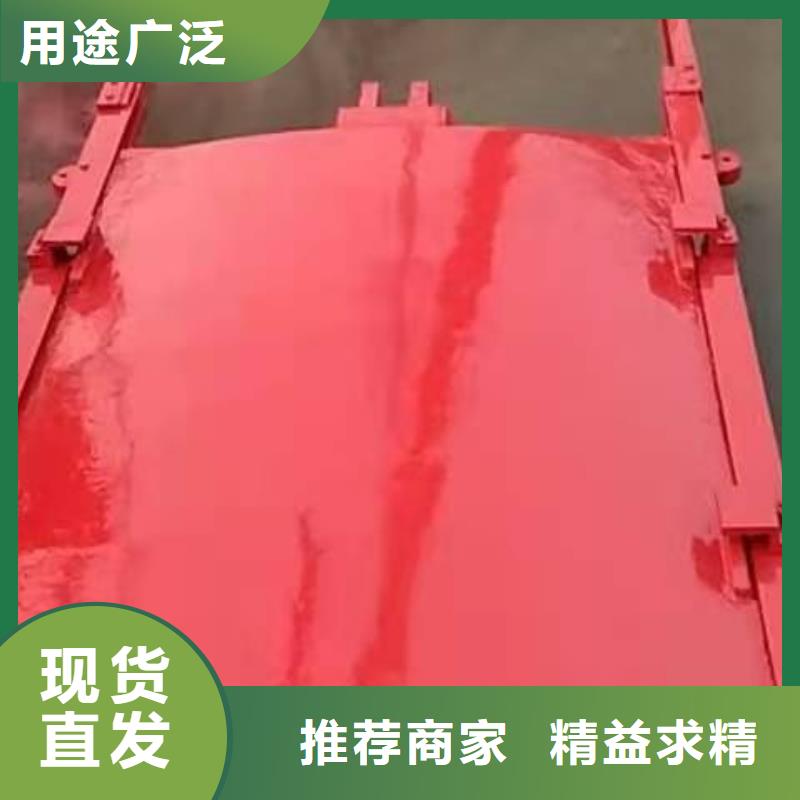 铸铁闸门款式新颖