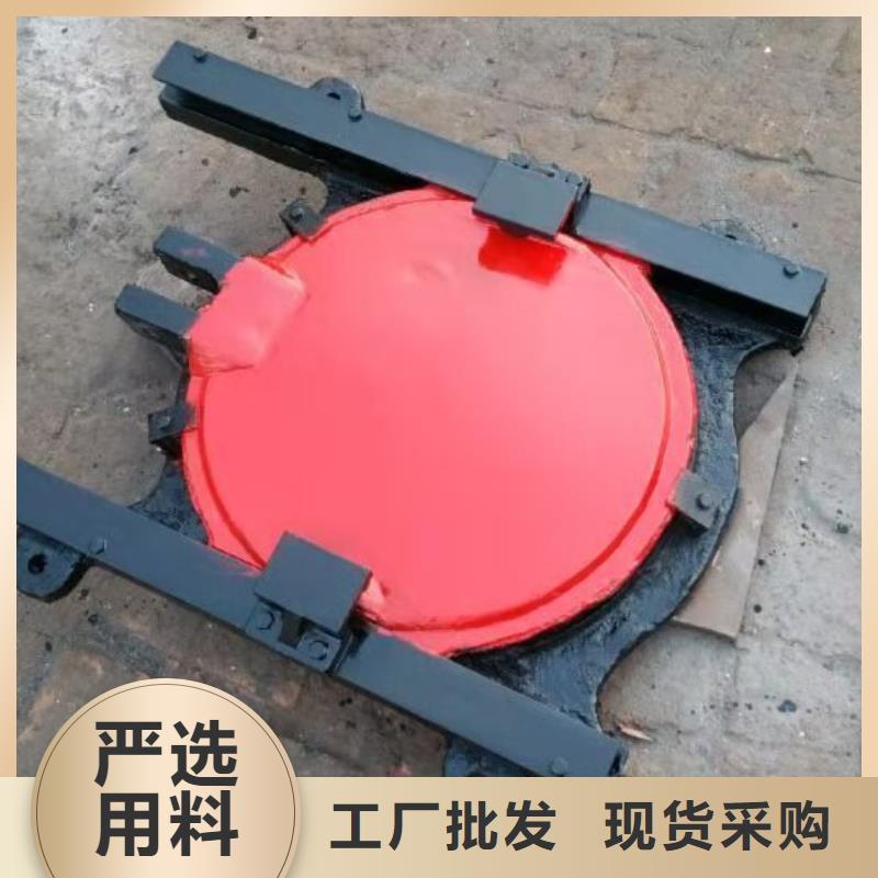 销售附壁式铸铁闸门_厂家/供应