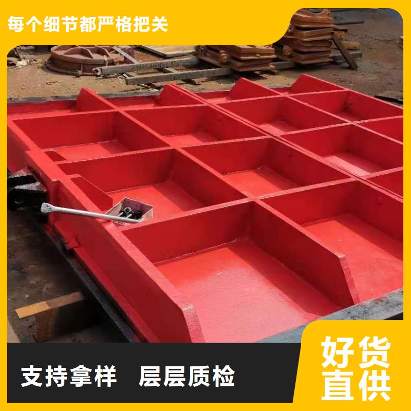铸铁闸门拥有多家成功案例