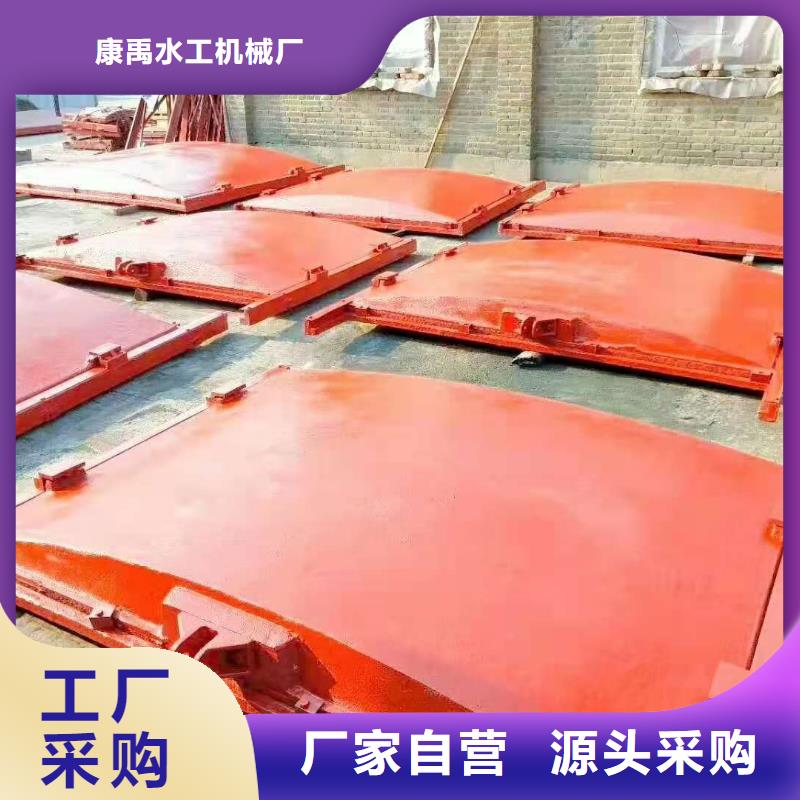 铸铁闸门我们更专业