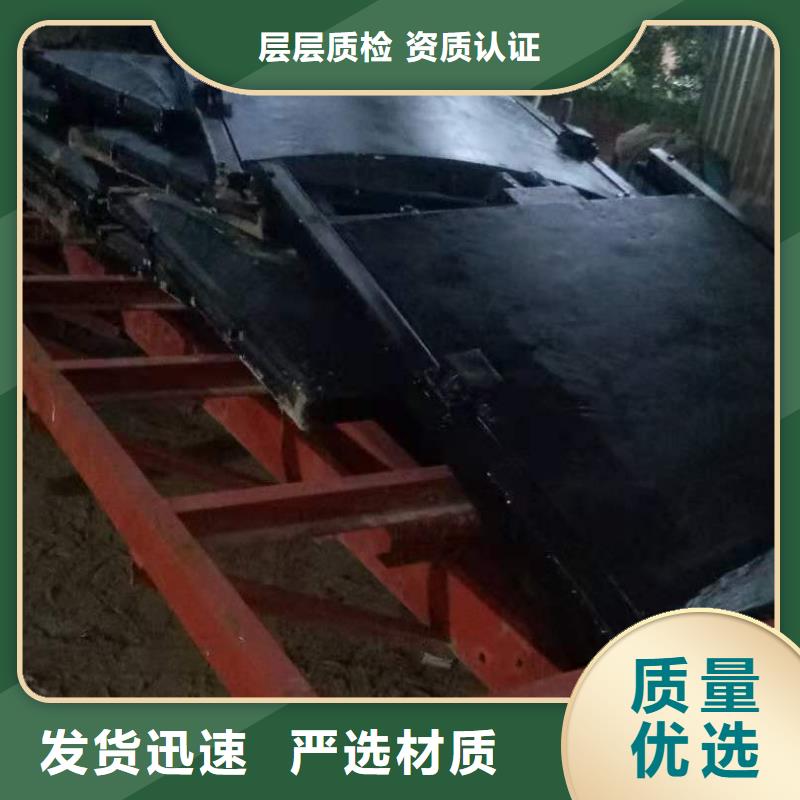铸铁闸门-螺杆启闭机畅销当地