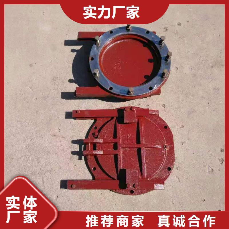 铸铁闸门卷扬启闭机品质可靠